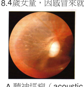 題目附圖