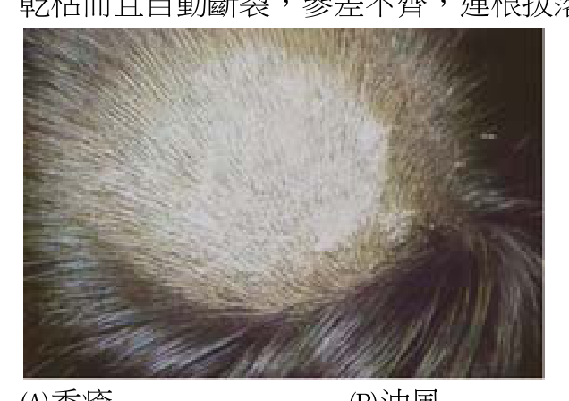 題目附圖