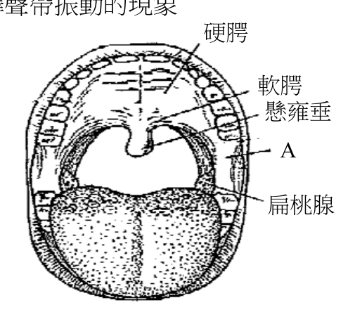 題目附圖