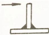 選項 C