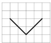 選項 B