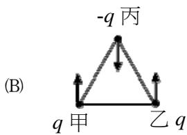 選項 B