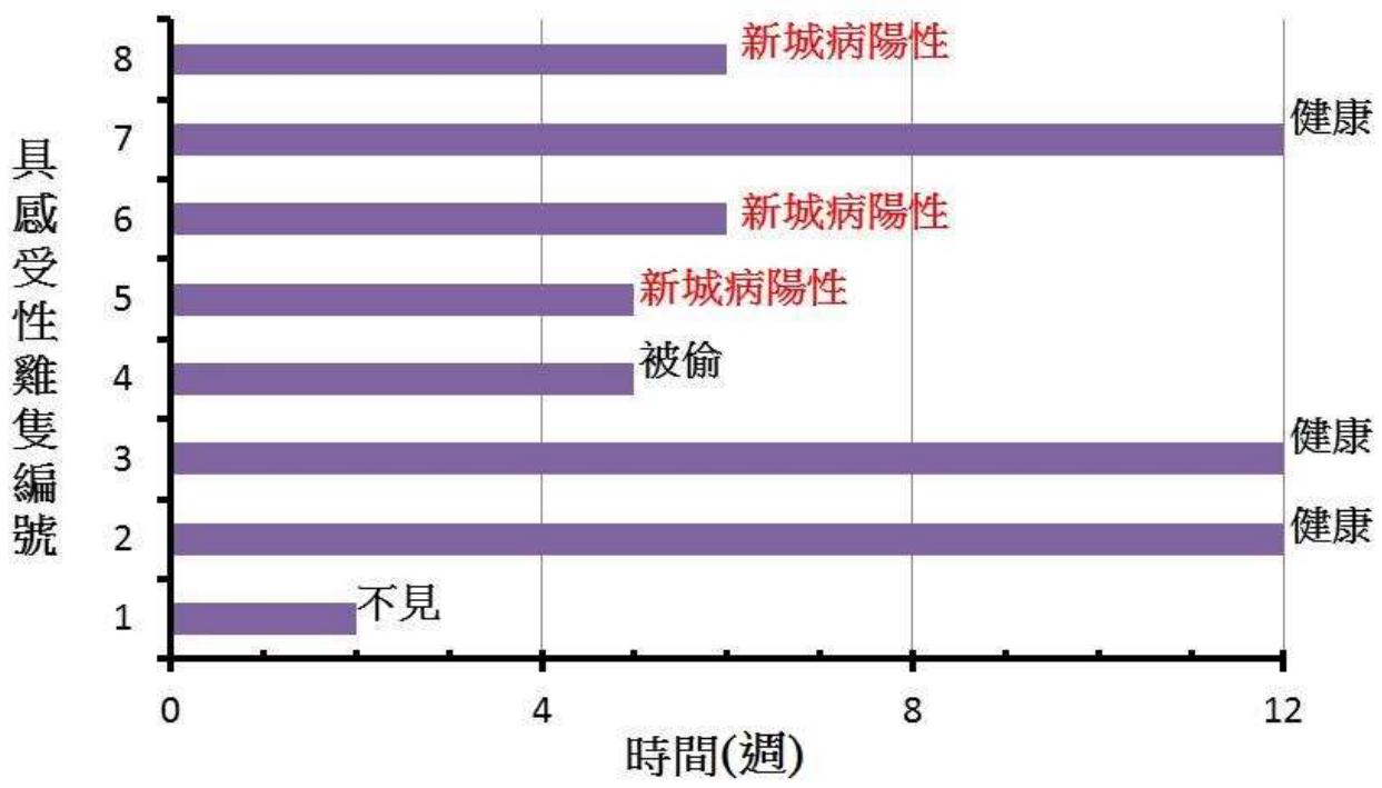 題目圖片