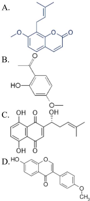 題目圖片