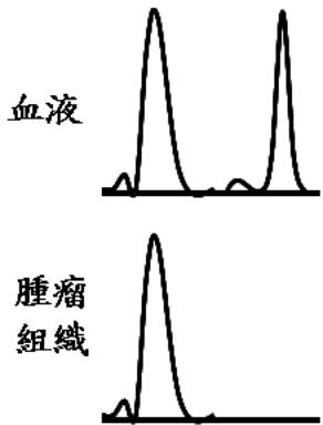 題目圖片