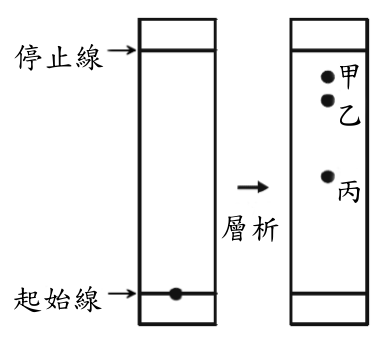 題目圖片