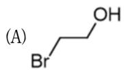 選項 B