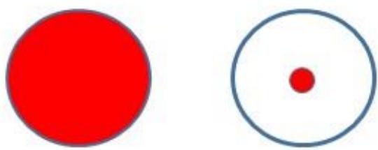 選項 B