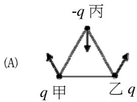 選項 A