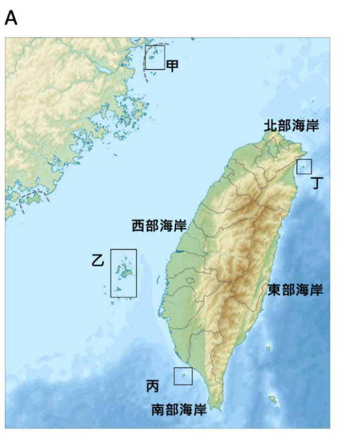 題目圖片