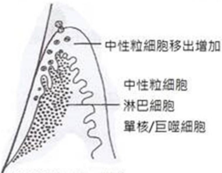 題目圖片
