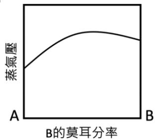 選項 B