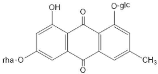 題目圖片
