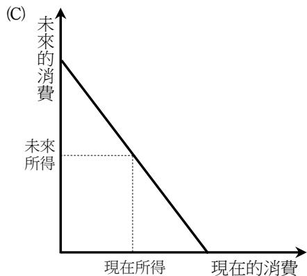 選項 C
