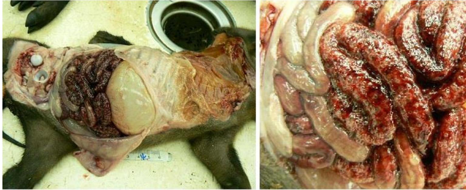 題目圖片