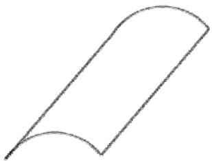 選項 A
