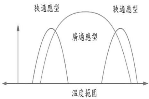題目圖片