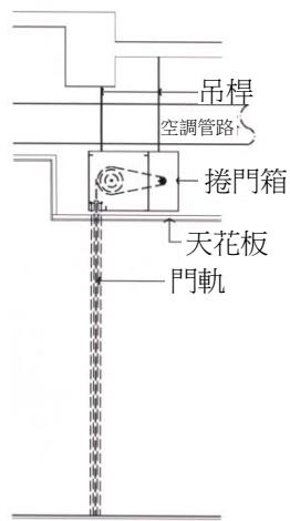 選項 C