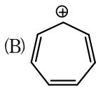 選項 B