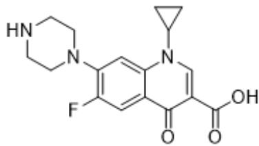 題目圖片