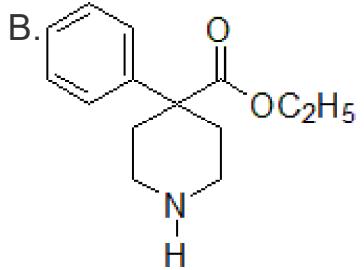 選項 B