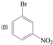 選項 B