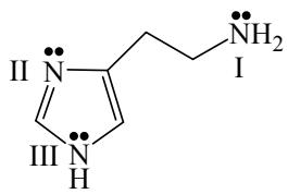 題目圖片