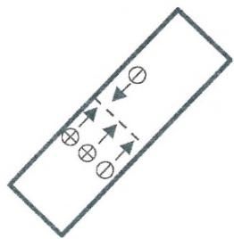 選項 A