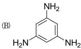 選項 B