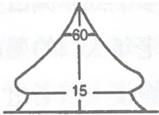 選項 C