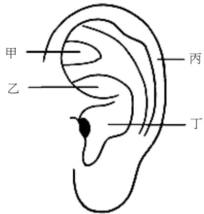 題目圖片