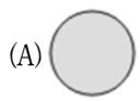 選項 A