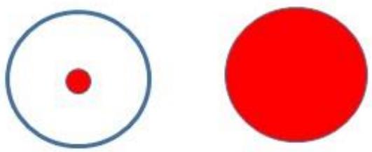 選項 D
