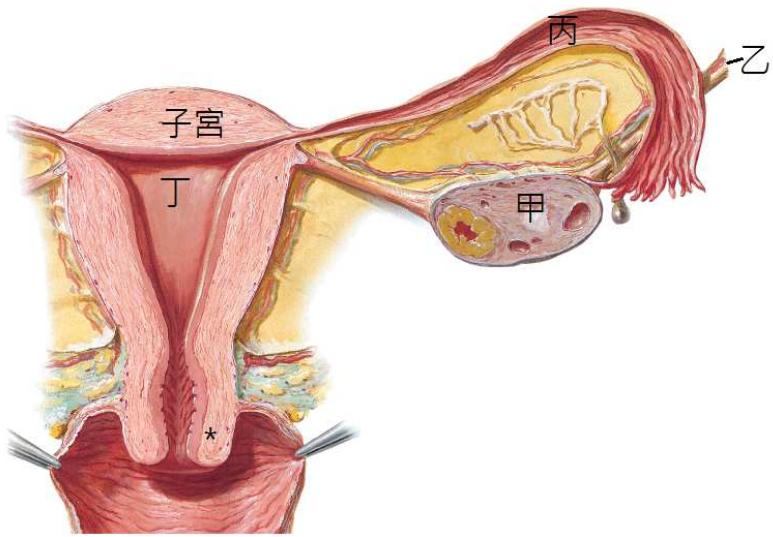 題目圖片