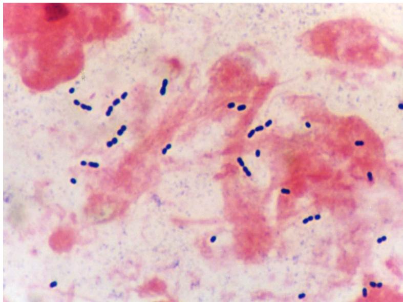 題目圖片