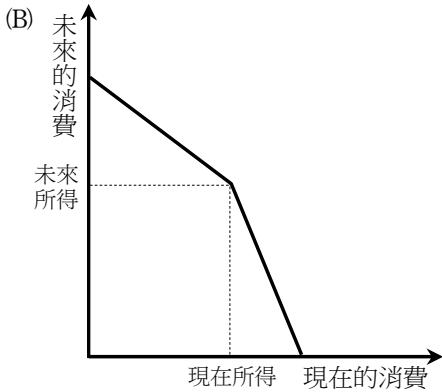 選項 B