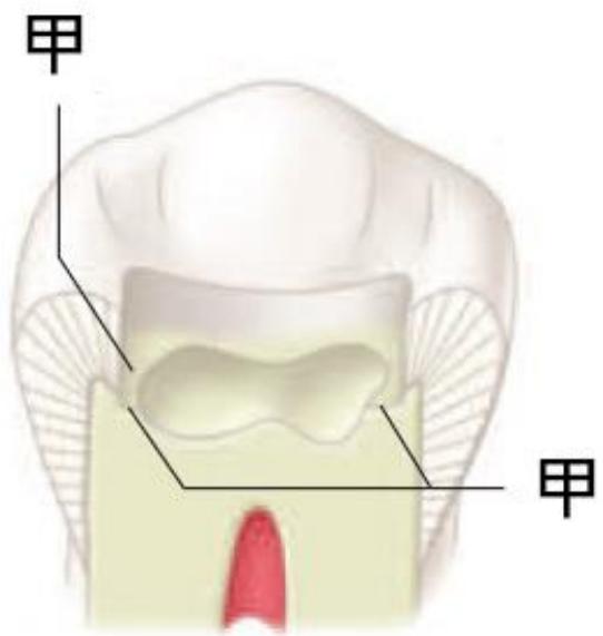 題目圖片