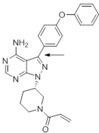 選項 B