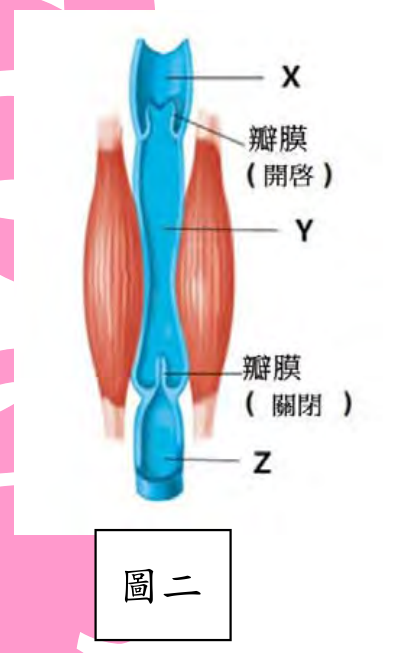 題目圖片