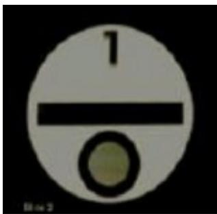 選項 D