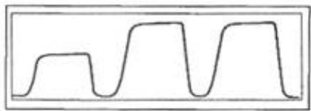 選項 A