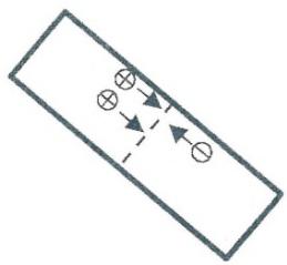 選項 B