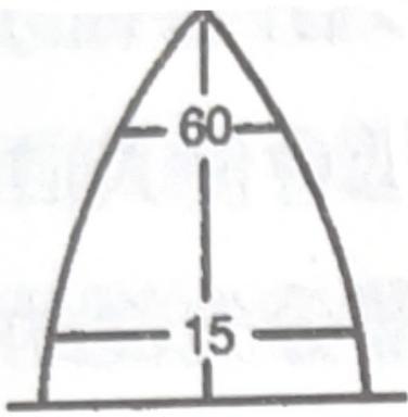 選項 A