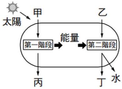 題目圖片