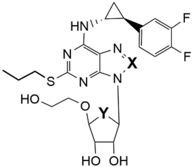 題目圖片