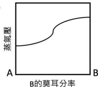 選項 D