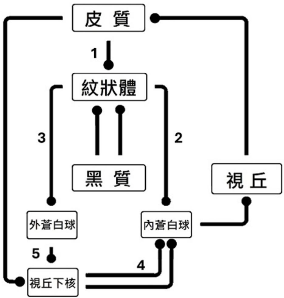題目圖片