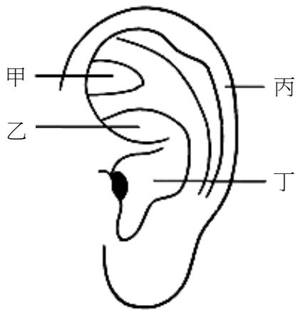 題目圖片