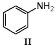 選項 B