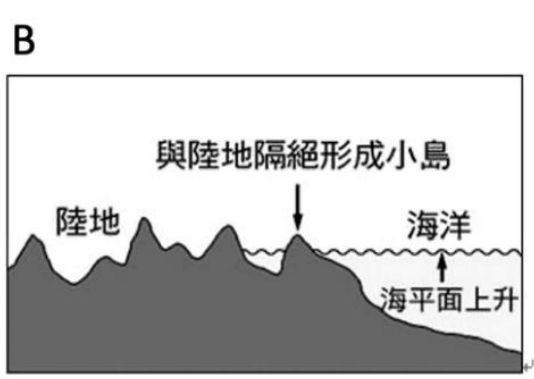 題目圖片 1/2